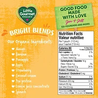Little Gourmet Organic Toddler Snack Bright Blends Mango Coconut Spinach