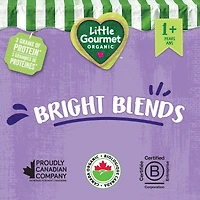 Little Gourmet Organic Toddler Snack Bright Blends Banana Blueberry Strawberry Guava