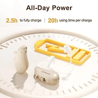 Ceretone Solid Rechargeable Behind-the-Ear (BTE) Hearing Aids - Premium Comfort Design and Nearly Invisible, Easy Handling, Noise Cancellation