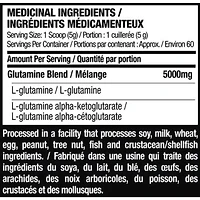 Poudre de glutamine de la série Elite de Six Star