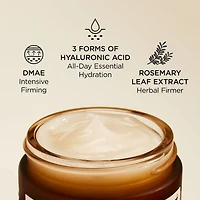 High Potency Hyaluronic Intensive Moisturizer