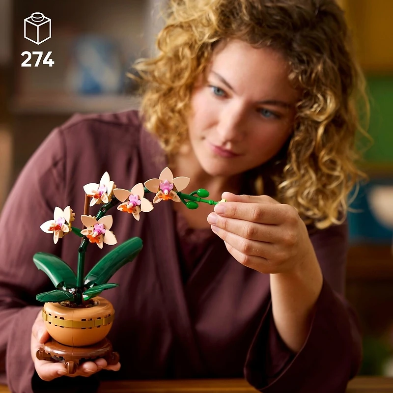 LEGO Botanicals L’Orchidée Miniature, Cadeau Botanique 10343