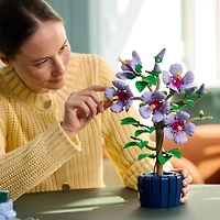 LEGO Botanicals L’Hibiscus, Ensemble pour Adultes 10372