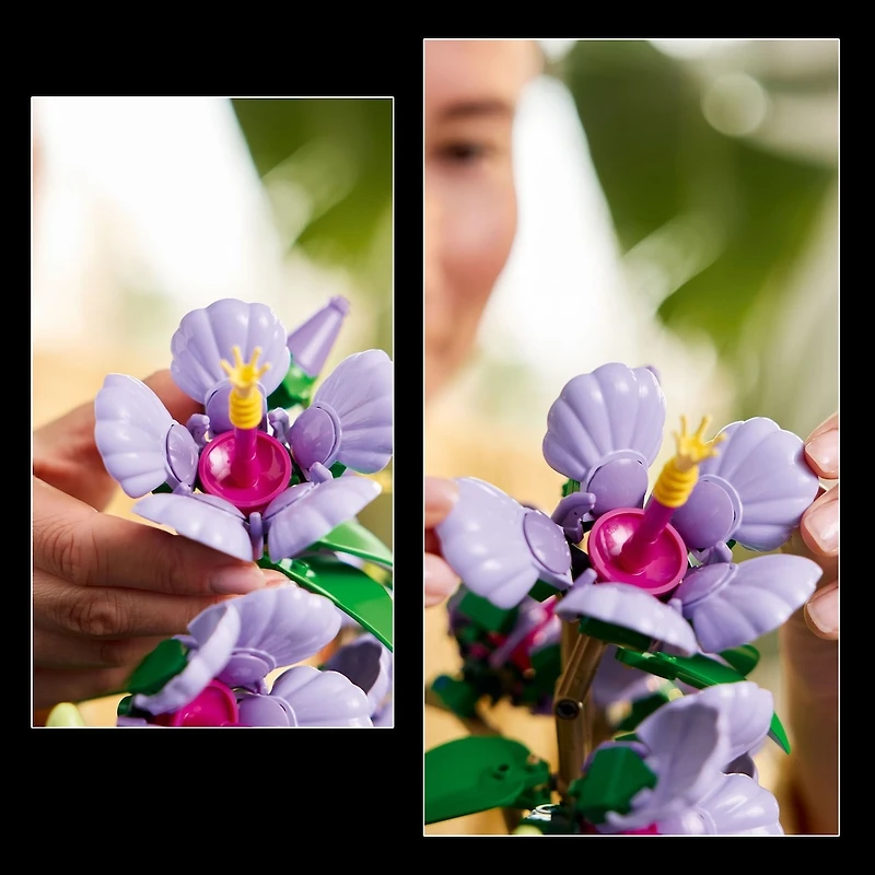 LEGO Botanicals L’Hibiscus, Ensemble pour Adultes 10372