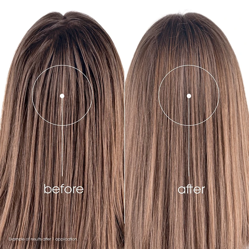 Oil Absorbing Dry Shampoo with Nettle - The Original - Oily Hair