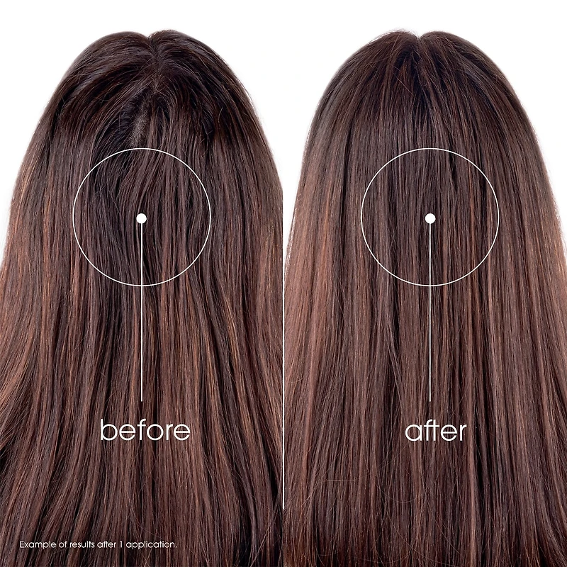 Oil Absorbing Dry Shampoo with Nettle - Tinted - Oily Dark Hair