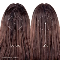 Oil Absorbing Dry Shampoo with Nettle - Tinted - Oily Dark Hair