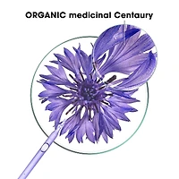 Anti-Yellowing Conditioner with ORGANIC Centaury - Grey and blond hair