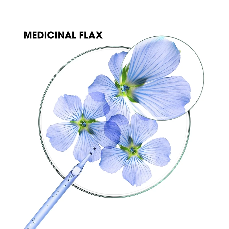 Conditioner with ORGANIC Flax - Volume - Fine hair