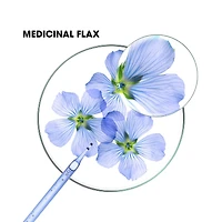 Conditioner with ORGANIC Flax - Volume - Fine hair