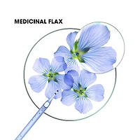 Dry shampoo Volume with ORGANIC Flax - Fine, limp hair