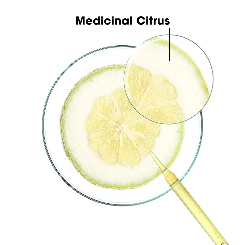 Purifying Shampoo with Citrus Pulp - Normal to Oily Hair - Purifying