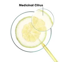 Purifying Shampoo with Citrus Pulp - Normal to Oily Hair - Purifying