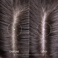 Shampooing Légèreté à la pulpe de Cédrat - Cheveux normaux regraissant vite - Assainissant