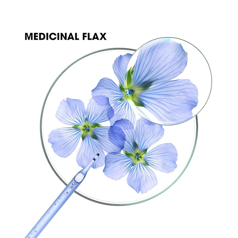 Shampoo with ORGANIC Flax - Volume - Fine hair