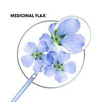 Shampoo with ORGANIC Flax - Volume - Fine hair