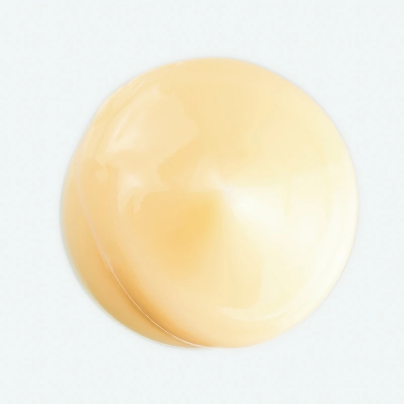Conditioner with Mango - Nourishing - Dry hair