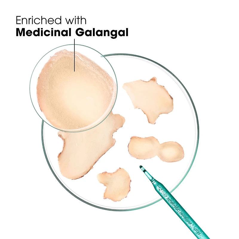 Rebalancing & Neutralizing Shampoo with Galangal - Anti-Loose Dandruff - High tolerance formula