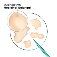 Rebalancing & Neutralizing Shampoo with Galangal - Anti-Loose Dandruff - High tolerance formula