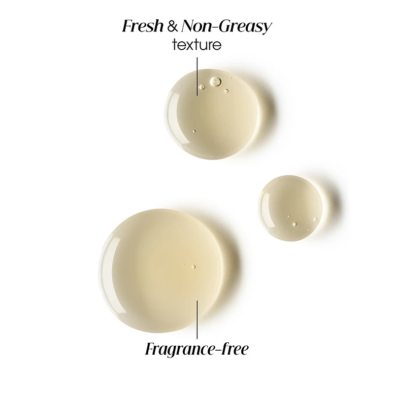 Concentrated Scalp Serum with Galangal - Anti-Loose Dandruff - High tolerance formula - 100 ml