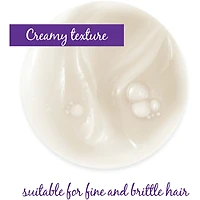 Densiage Redensifying Shampoo