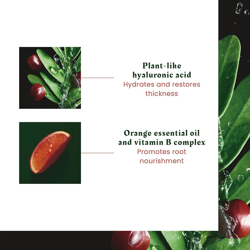 Tonucia Replumping Mask  - Pro-Youth - Thinning, tired hair - Silicone-free