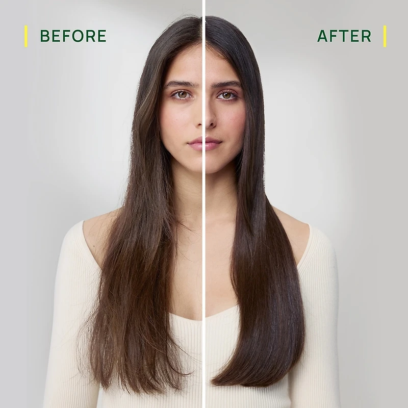 Sublime Karité - Professional Smoothing Milk - Dry hair - Shea Butter