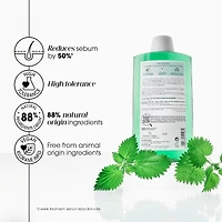 Oil Absorbing Shampoo with ORGANIC Nettle - Oily Hair