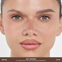 Ultimate Brow Essentials Kit