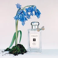 Wild Bluebell Cologne