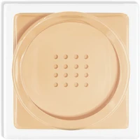PRO Loose setting powder