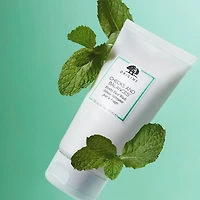 Checks and Balances™ Frothy Face Wash
