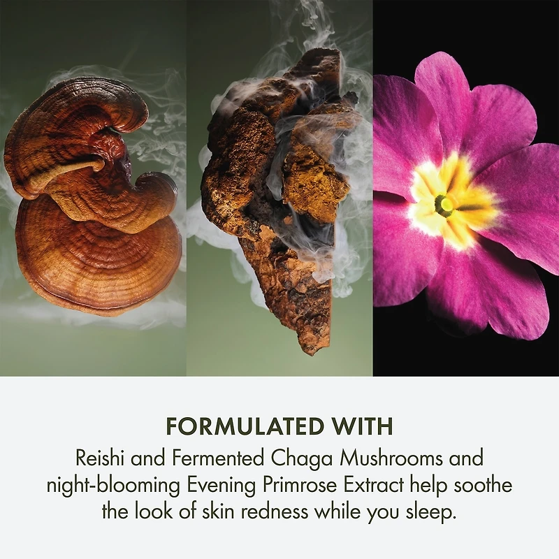 Crème Réparatrice de Nuit Dr. Andrew Weil pour Origins™