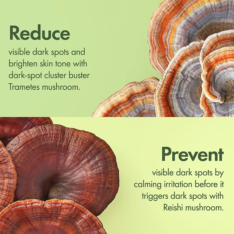 Sérum éclaircissant pour taches brunes Mega-Mushroom du Dr Andrew Weil pour Origins™