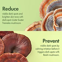 Sérum éclaircissant pour taches brunes Mega-Mushroom du Dr Andrew Weil pour Origins™