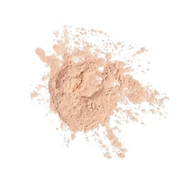 Poudre Floutante Conceal + Perfect