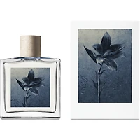 Concrete Rain Eau de Parfum