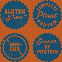 CLIF BUILDERS™  - Protein Bars - Chocolate Peanut Butter Flavour - (68 Gram Non-GMO Bars, 12 Count)