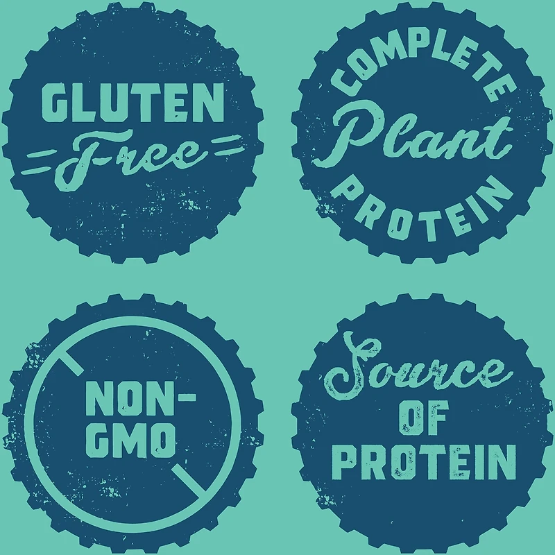 CLIF BUILDERS™  - Protein Bars - Chocolate Mint - (68 Gram Non-GMO Bars, 12 Count)