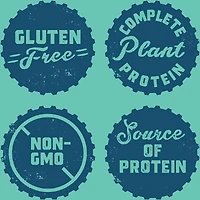 CLIF BUILDERS™  - Protein Bars - Chocolate Mint - (68 Gram Non-GMO Bars, 12 Count)