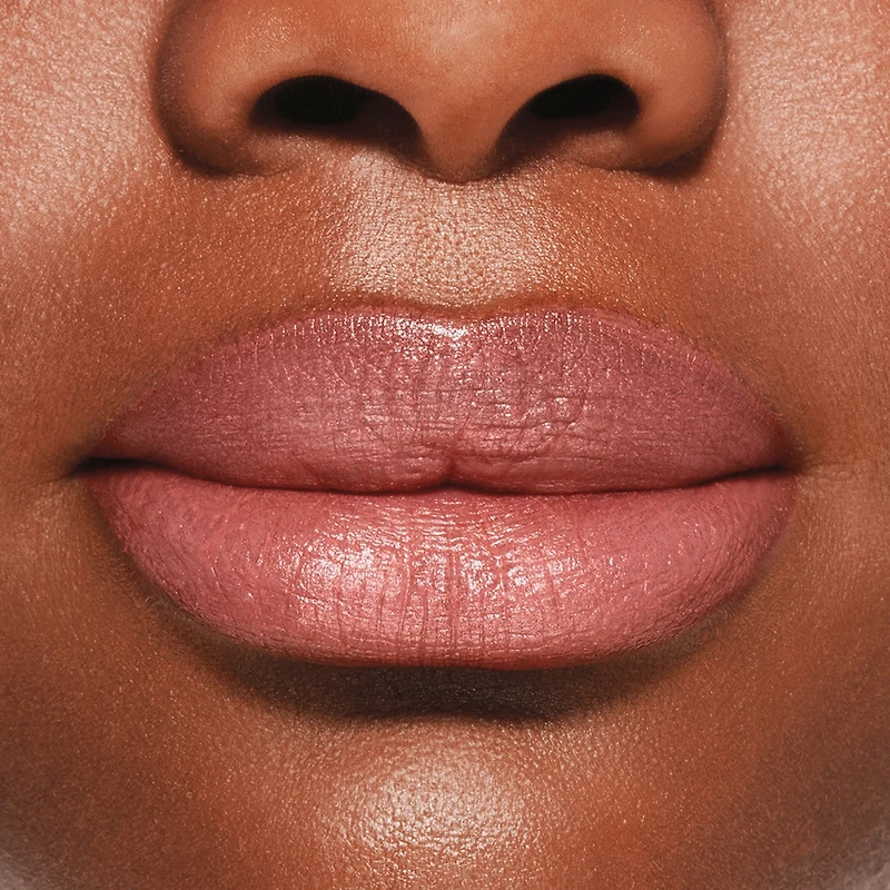 VisionAiry Gel Lipstick