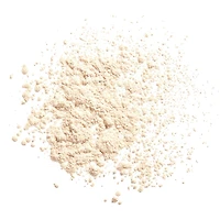 Synchro Skin Invisible Silk Loose Powder