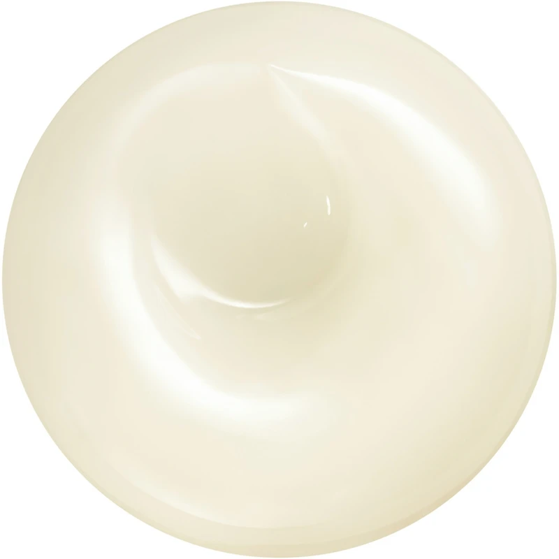 Shiseido Men Total Revitalizing Cream N