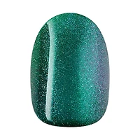 Wicked X imPRESS - A Story Of Two Halves