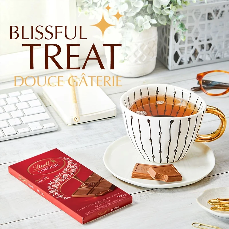 LINDOR Milk Chocolate Bar 100g