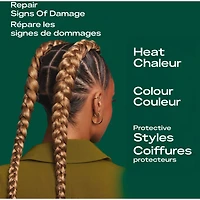 Shampoo Réparateur de Liens pour Renforcer les Cheveux, SheaMoisture  Amla Oil, avec l'Infusion Restauratrice HydroPlex, 384 ML