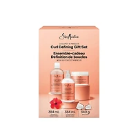 Ensemble-cadeau Définition de Boucles SheaMoisture Noix de Coco et Hibiscus, comprenant : shampooing, revitalisant et smoothie rehausse-boucles Noix de Coco et Hibiscus, ensemble de 3 pièces