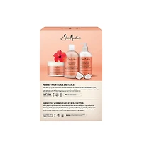 Ensemble-cadeau Définition de Boucles SheaMoisture Noix de Coco et Hibiscus, comprenant : shampooing, revitalisant et smoothie rehausse-boucles Noix de Coco et Hibiscus, ensemble de 3 pièces
