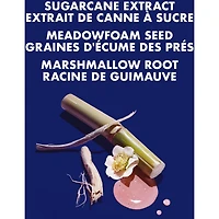 Sugarcane Extract & Meadowfoam Seed Silicone Free Miracle Styler Leave-in Treatment