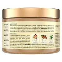 Strengthen & Restore Hair Treatment Masque for dry hair Jamaican Black Castor Oil deep conditioner with Shea Butter, Peppermint and Apple Cider Vinegar 326 g